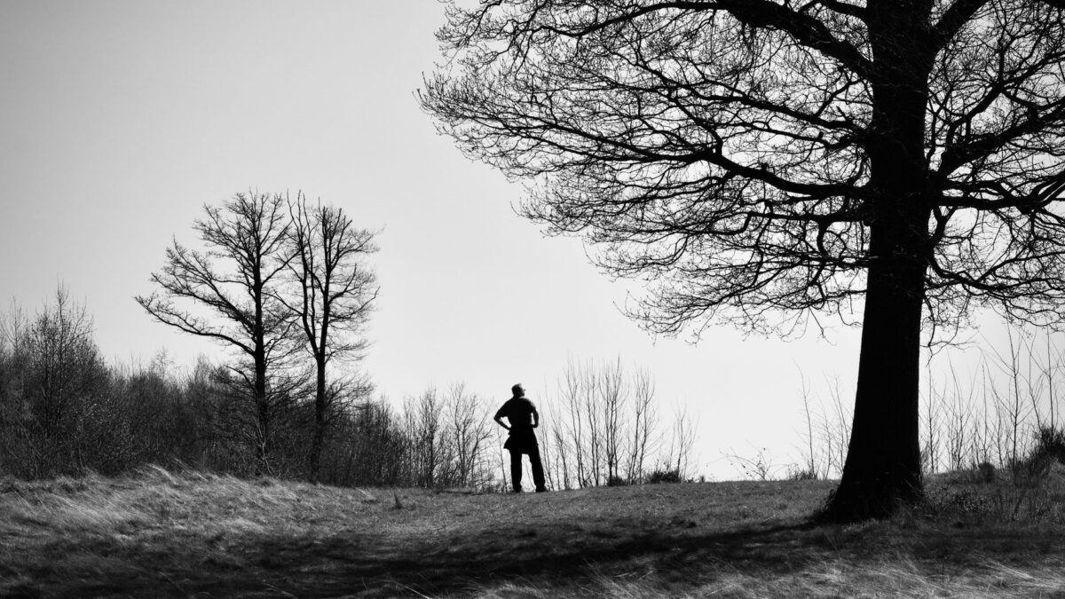 A lone hiker silhouetted against a winter landscape with bare trees and open sky.