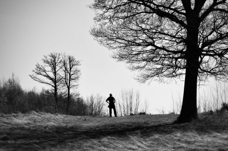 A lone hiker silhouetted against a winter landscape with bare trees and open sky.